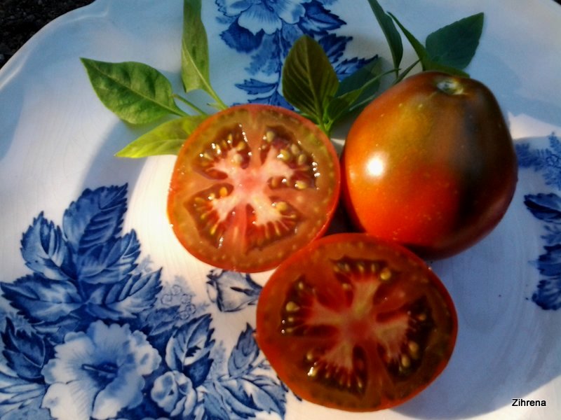 Bedouin tomatoes