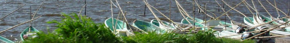 Campeche boats